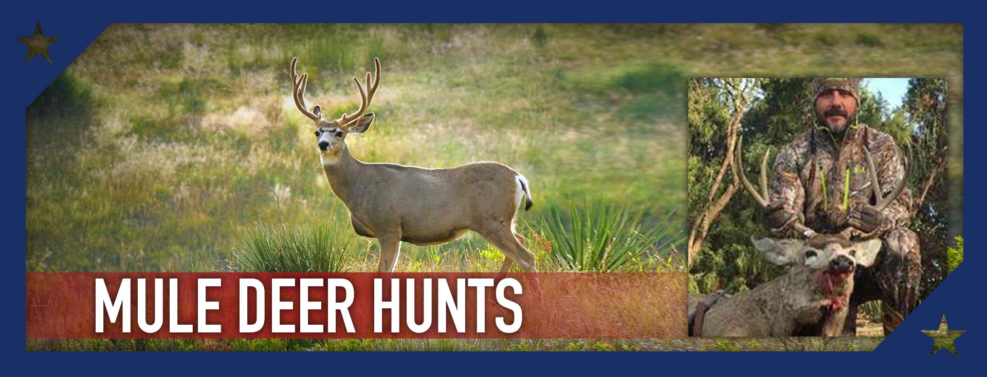 Trophy Mule Deer Hunting